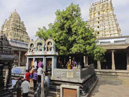 Taxi in Tirupati Kanchipuram Temple